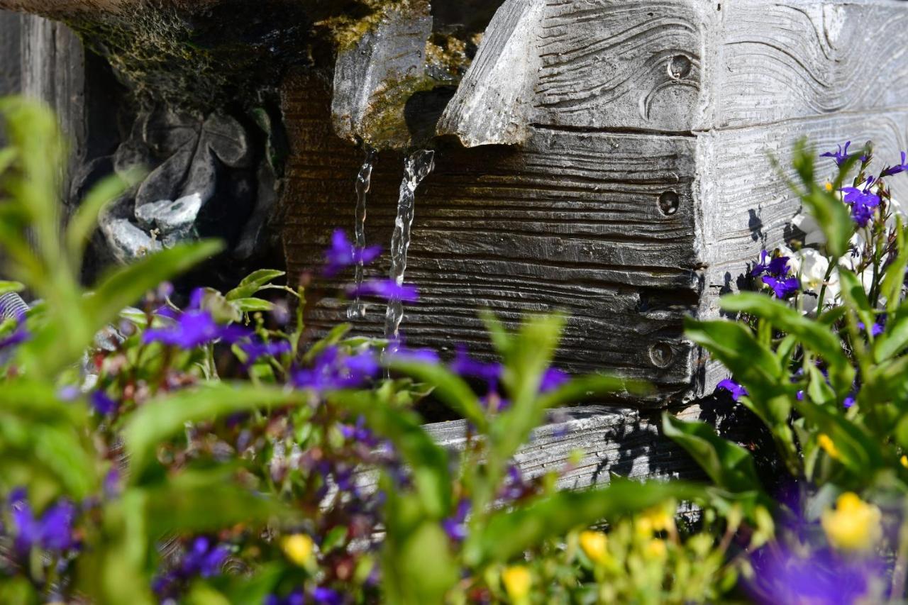 Landhotel Jungbrunnen Bad Brambach Eksteriør bilde